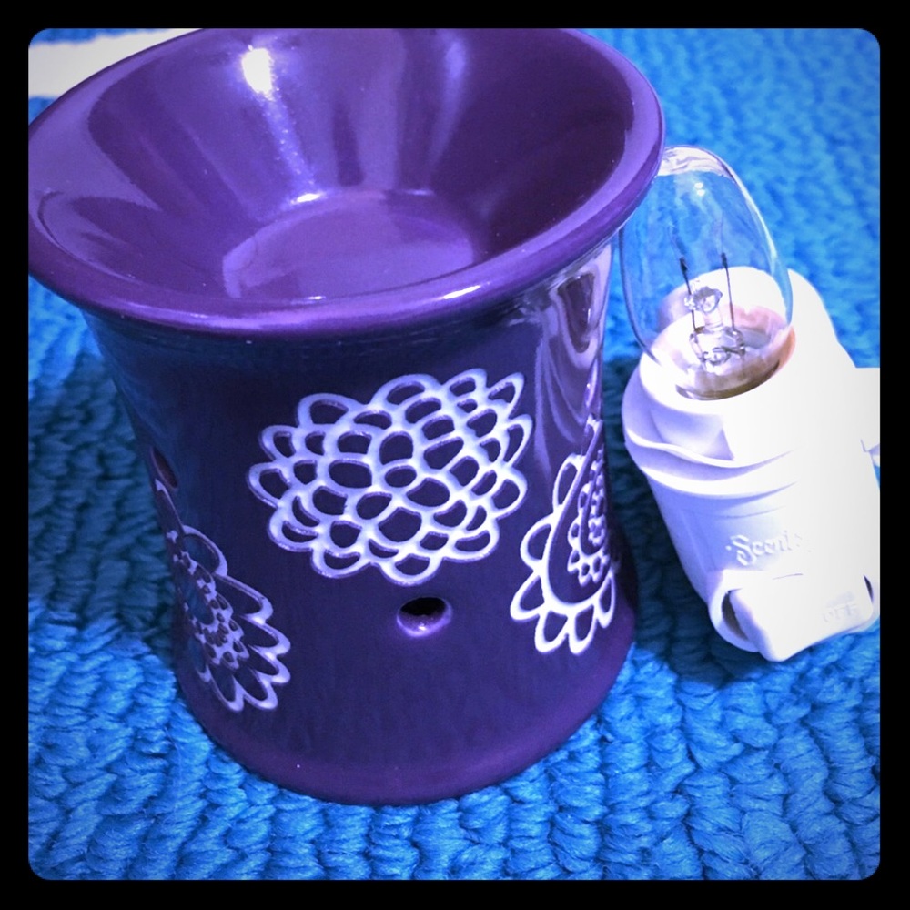 Daisy Craze Scentsy Plug in